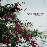 Never Shout Never - What is love