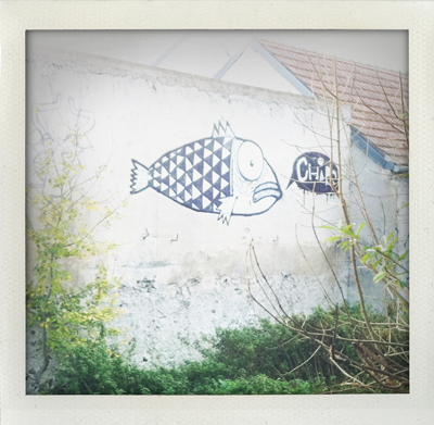 'Fish on the wall